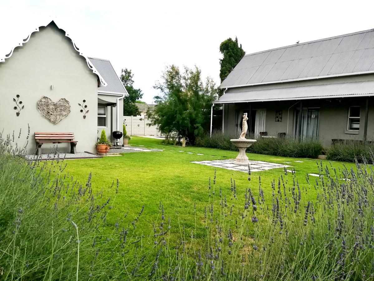 Tranquil House B&B @ 1 College Ave Queenstown Exteriör bild